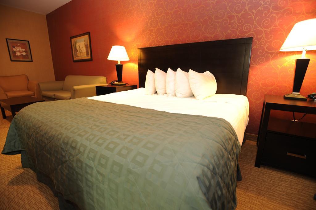 Verve Hotel New York Phòng bức ảnh